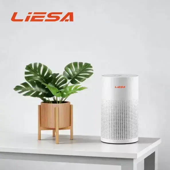 Auto Mode Air Purifier