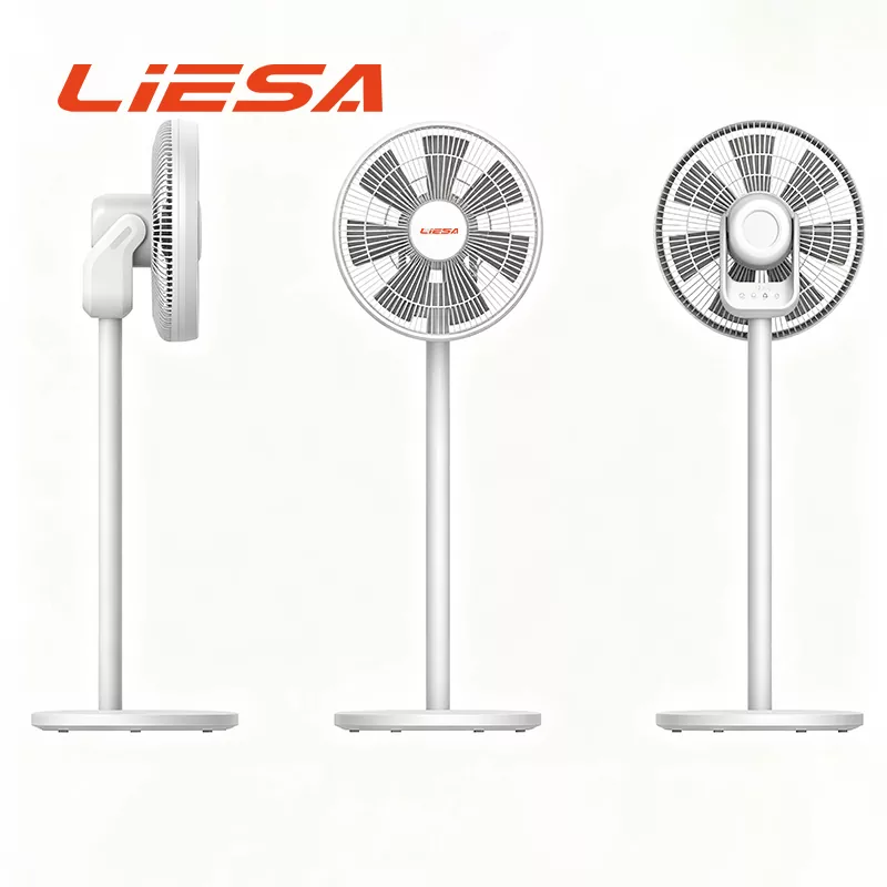 Oscillating Circulation Fan