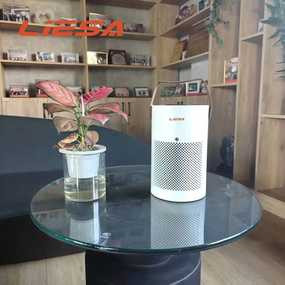 Timer Function Purifier